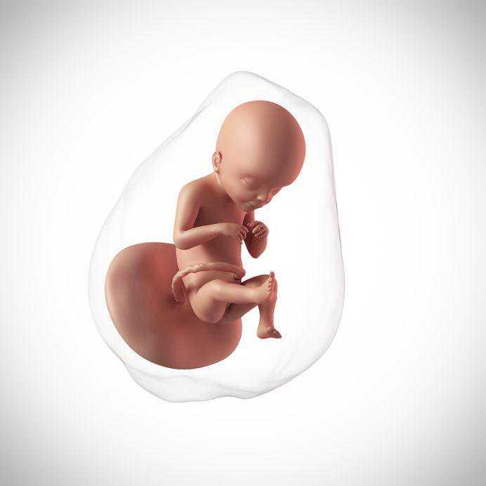湖北助孕中心加盟，湖北供卵三代试管婴儿生殖中心？