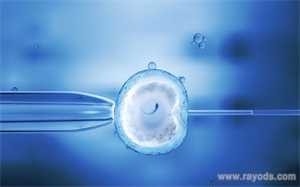 受精12个,4个4级胚胎，怀孕4个月做什么产检