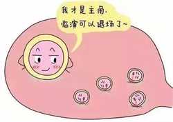 冻胚解冻后是桑椹胚么，移植冻胚着床后的感觉是怎样的？